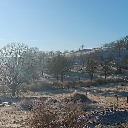 Pension Freudenthal Wandersleben Екстериор снимка