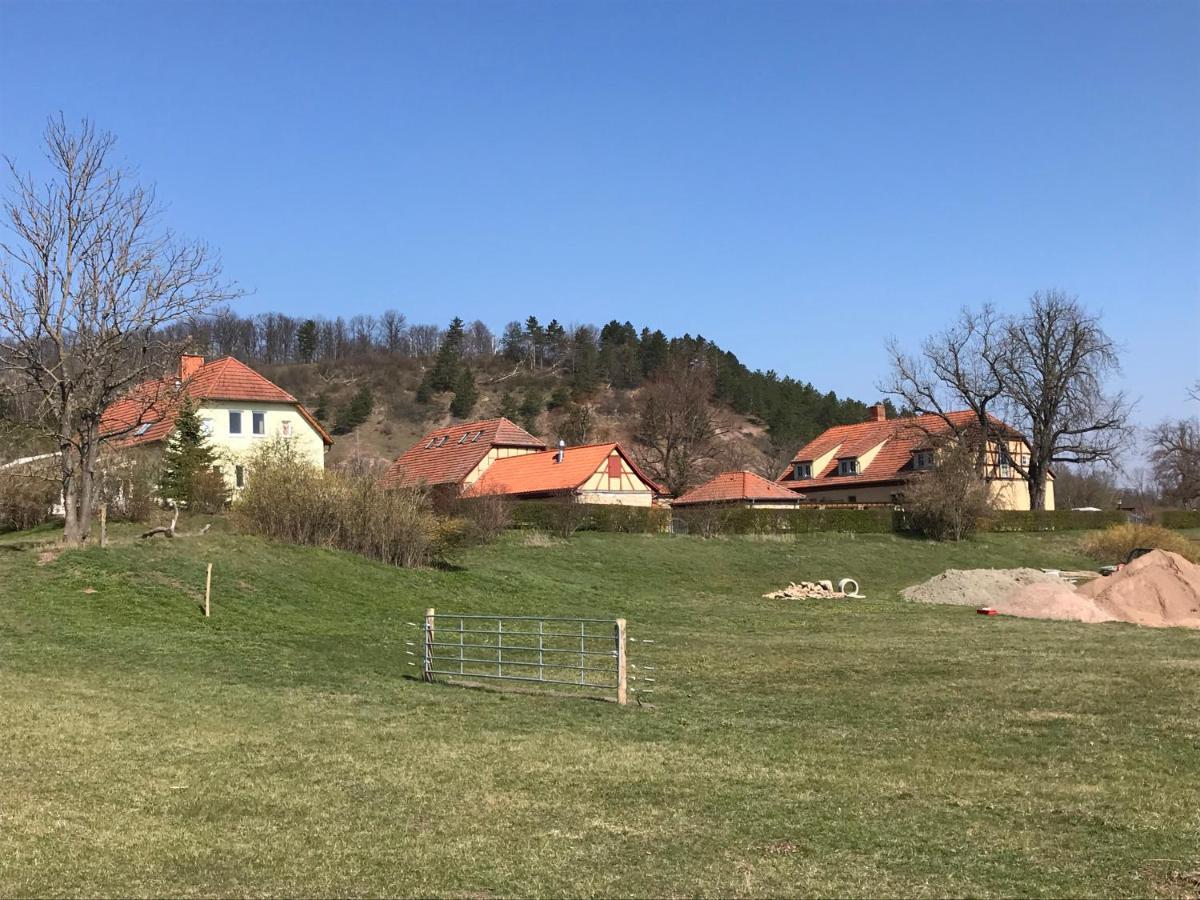 Pension Freudenthal Wandersleben Екстериор снимка